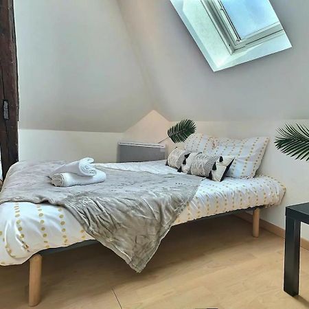 Le Travel - Appartement Equipe Proche Centre Et Yschools Troyes Eksteriør billede
